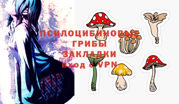 дурь Аркадак